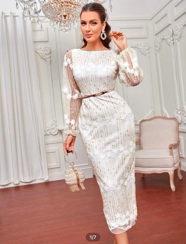 Floral embroidery mesh bodycon dress