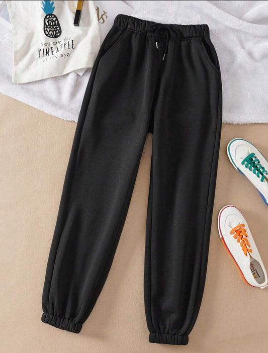 Solid  Drawstring Waist Thermal Lined Sweatpants
